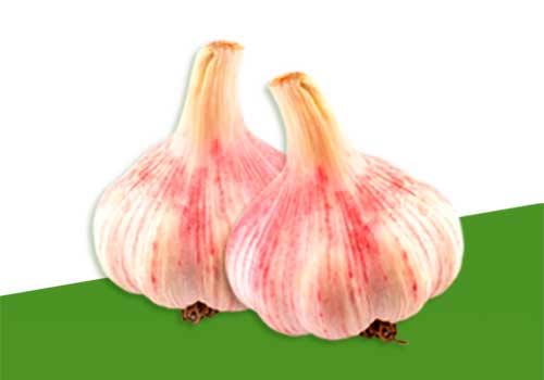 aglio rosso