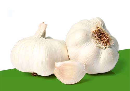 aglio bianco