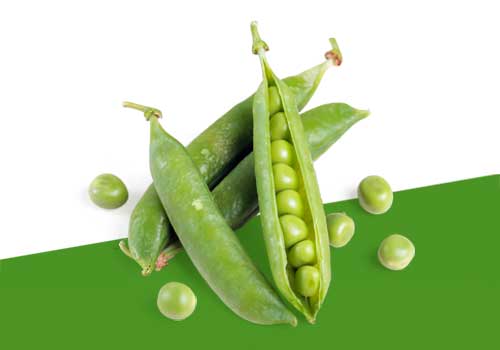 piselli