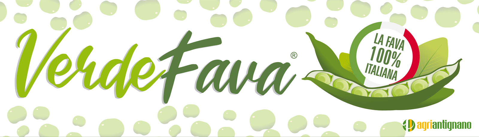 Verde Fava
